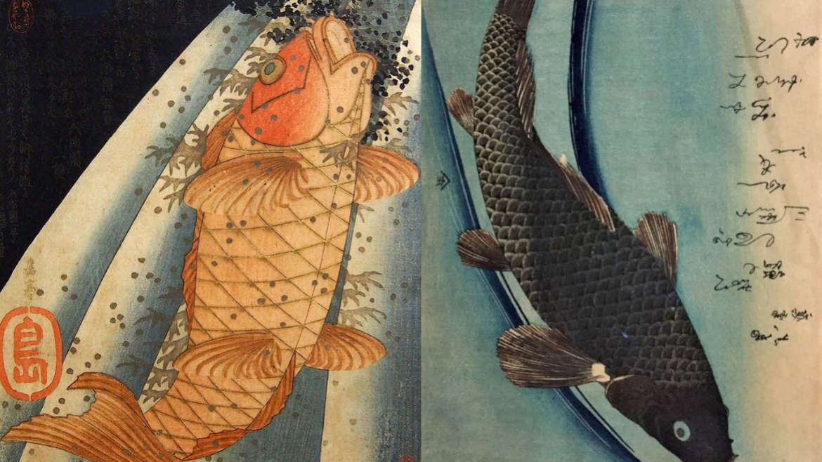 Illustration japonaise la Carpe Koï 👹 Nuevo Mundo studio de tatouage japonais à Strasbourg